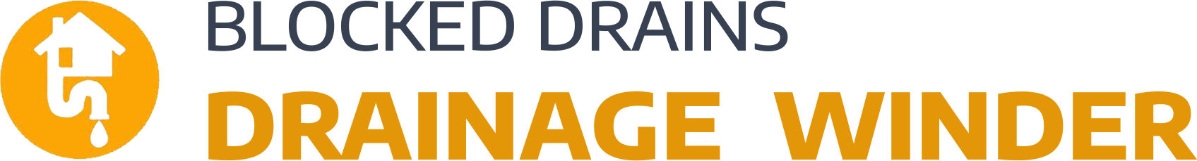 website logo